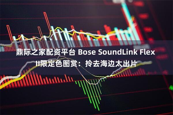鼎际之家配资平台 Bose SoundLink Flex II限定色图赏：拎去海边太出片